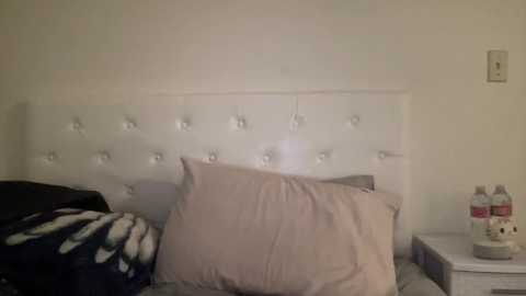 brownmeow @ chaturbate on 20230919