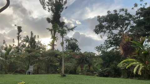 kaileeshy @ chaturbate on 20230920