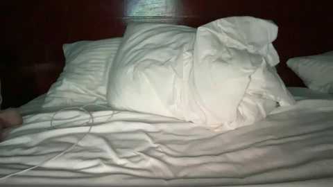 bonnettbonett @ chaturbate on 20230929