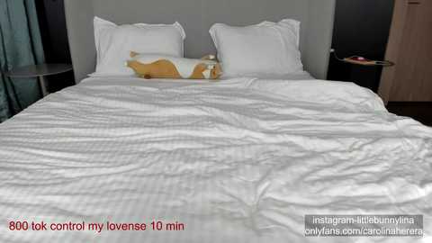 carolinaherera @ chaturbate on 20230929