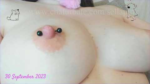 sellapink @ chaturbate on 20230930