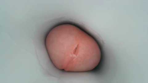 jeffrodgerschaturbat