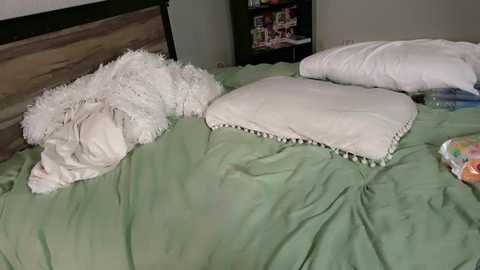 missnerdydirty @ chaturbate on 20231003