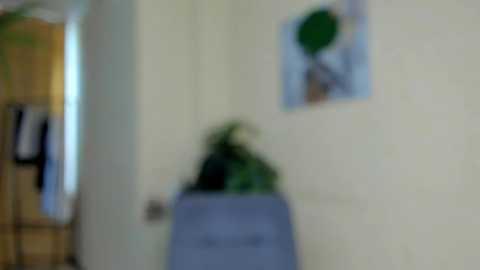 felissiany @ chaturbate on 20231004