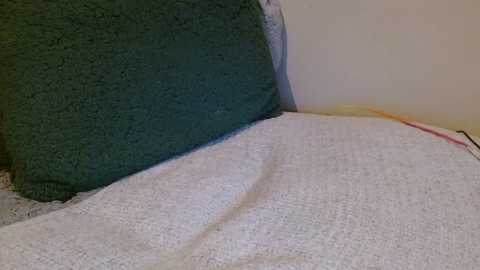 roseburn @ chaturbate on 20231004