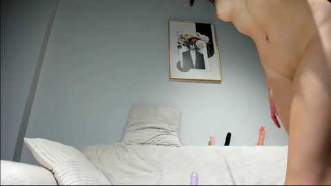 aria_diaz @ chaturbate on 20231006