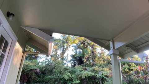 kaileeshy @ chaturbate on 20231006