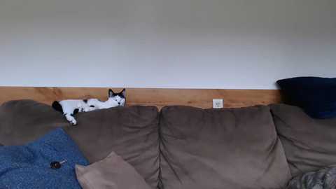 lancehardin @ chaturbate on 20231006