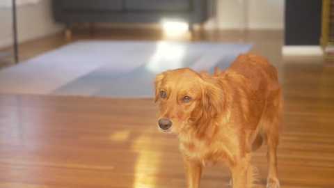 marymoody @ chaturbate on 20231006