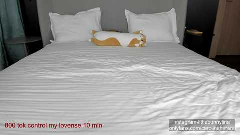 carolinaherera @ chaturbate on 20231007