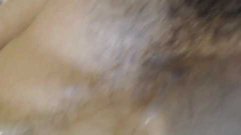michmark23