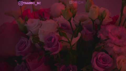 taanni_bc @ chaturbate on 20231008