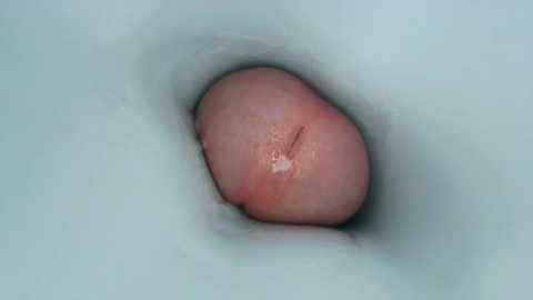 jeffrodgerschaturbat