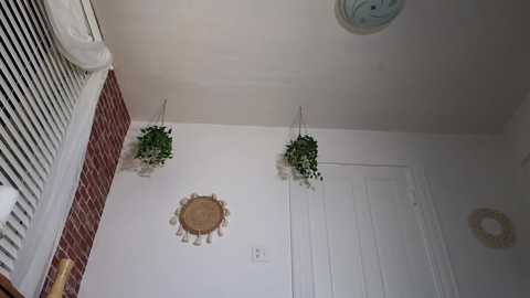 littlegreekflower @ chaturbate on 20231009