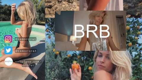 ocicat @ chaturbate on 20231009