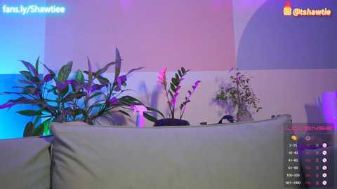 _taylor_swift @ chaturbate on 20231010