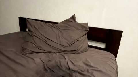 kiwigray @ chaturbate on 20231010