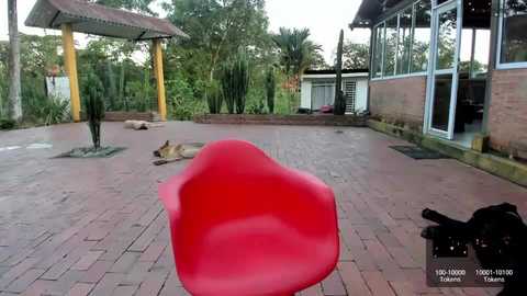 ohanna_ @ chaturbate on 20231010