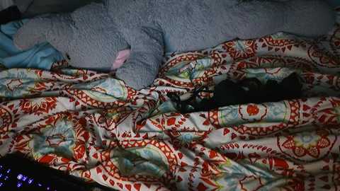 elfenemma @ chaturbate on 20231011