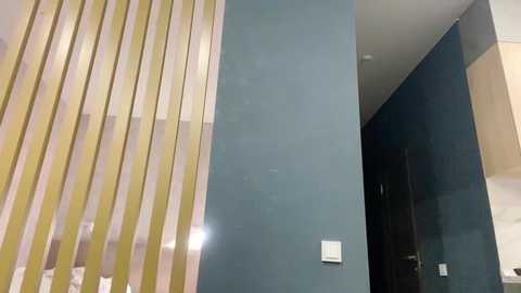 emonyashka @ chaturbate on 20231011