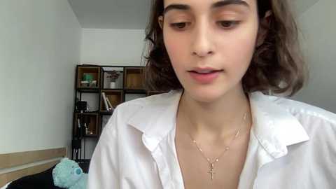 wonderland_stia @ chaturbate on 20231012