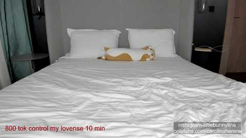 carolinaherera @ chaturbate on 20231013