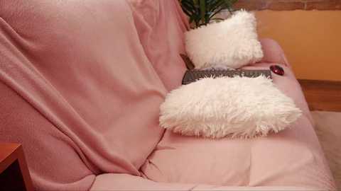 clementine__ @ chaturbate on 20231013