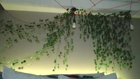 le_chan @ chaturbate on 20231013