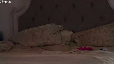 x_dreamgirl_x @ chaturbate on 20231013