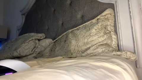 x_dreamgirl_x @ chaturbate on 20231013