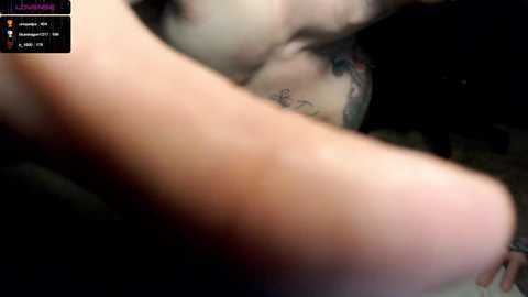 thebrentsavage @ chaturbate on 20231015