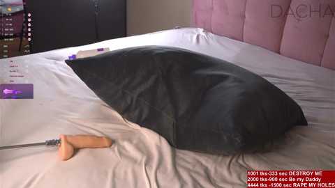 pafosstar @ chaturbate on 20231016