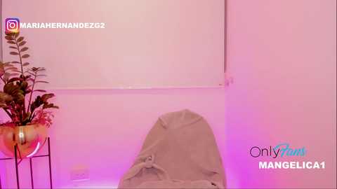 cute_molly18 @ chaturbate on 20231018