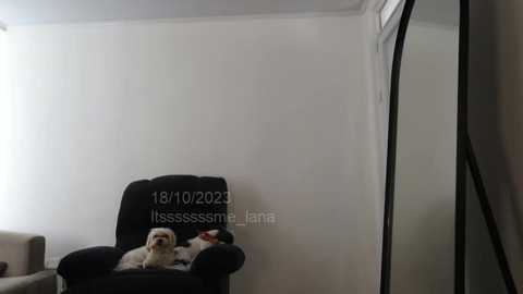 itsssssssme_lana @ chaturbate on 20231018