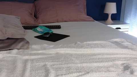 adarabunny @ chaturbate on 20231019