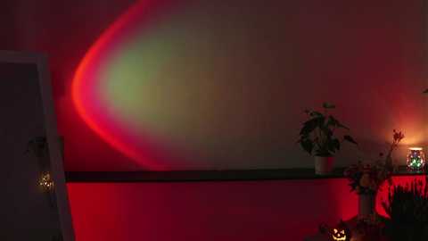 taralanes @ chaturbate on 20231019