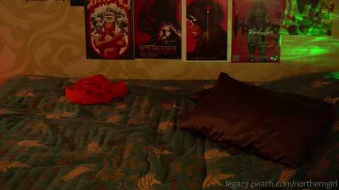_northern_girl_ @ chaturbate on 20231021