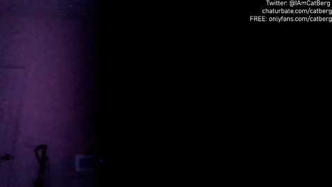 catberg @ chaturbate on 20231022