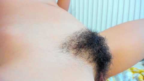 school_and_sex @ chaturbate on 20231023