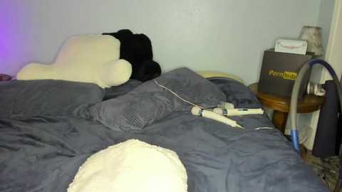 akgingersnaps @ chaturbate on 20231025
