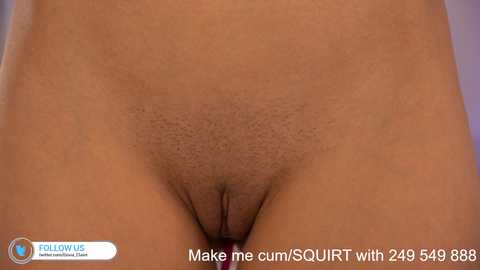 dovia @ chaturbate on 20231026