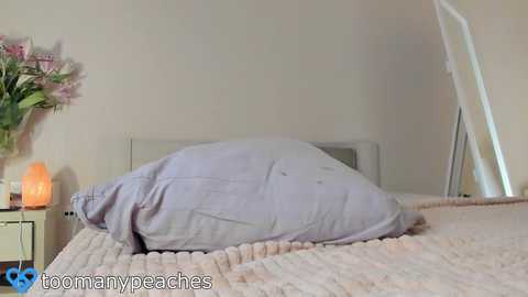 toomanypeaches @ chaturbate on 20231027