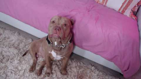 holihurricane @ chaturbate on 20231028