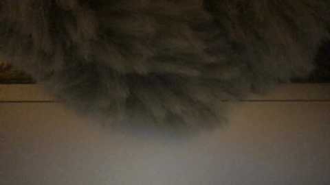 ragazzad_oro @ chaturbate on 20231028