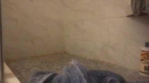 ragazzad_oro @ chaturbate on 20231028