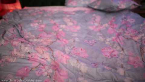 shy_jane @ chaturbate on 20231028