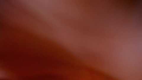 cinnabelle @ chaturbate on 20231029