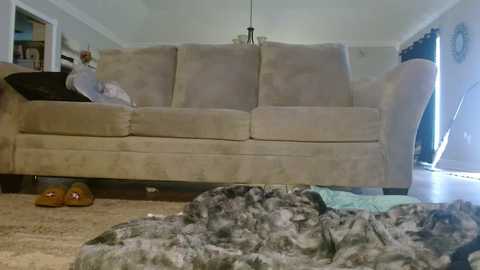 alannarack @ chaturbate on 20231030