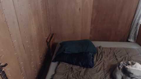 bryancavallo @ chaturbate on 20231030