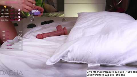 islandladies @ chaturbate on 20231030